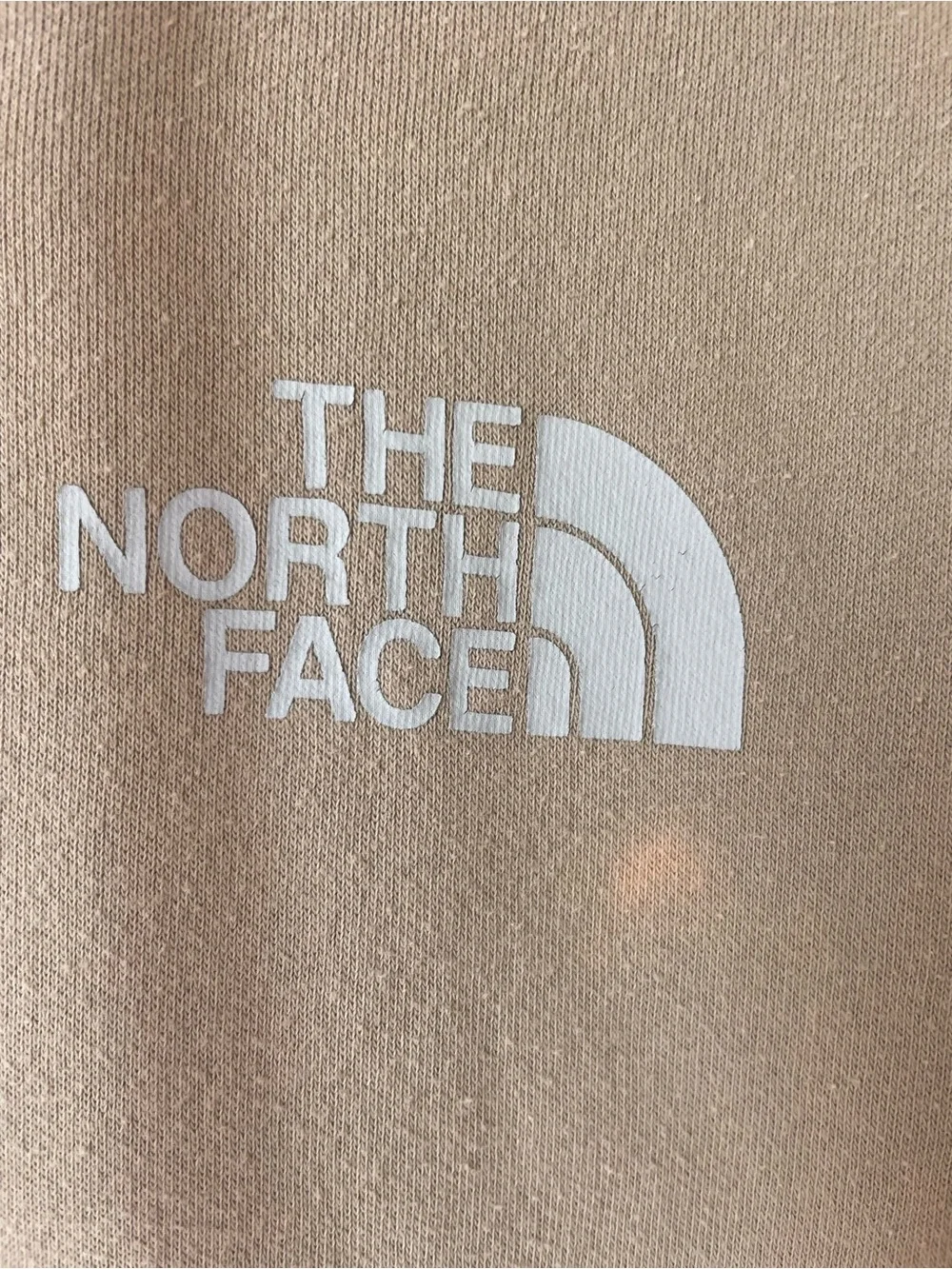 The North Face Men’s Hooded Pullover Sweatshirt - Beige